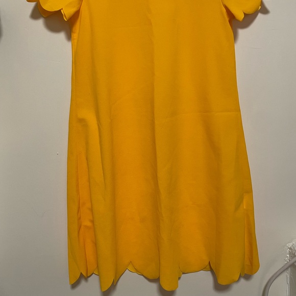 SHEIN Yellow Scallop Edge Dress - Picture 2 of 5